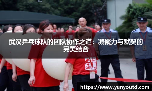 XK星空体育官网