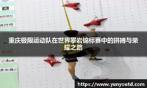 XK星空体育APP