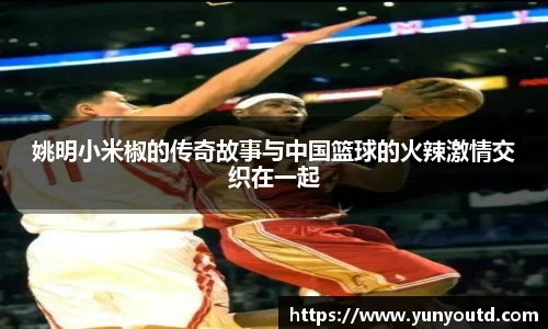 XK星空体育下载