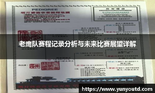 XK星空体育官网